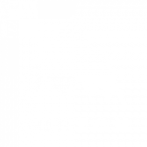 Burton