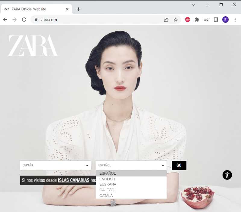 a screenshot from Zara’s website