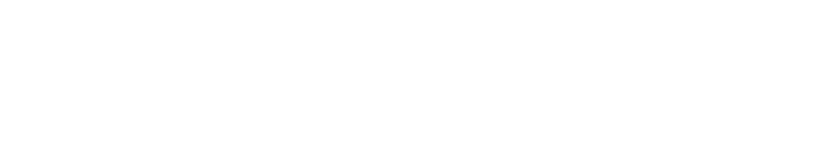 TransPerfect Digital logo