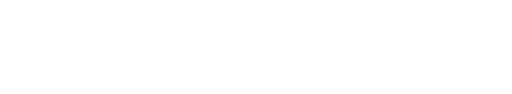 TransPerfect Digital logo